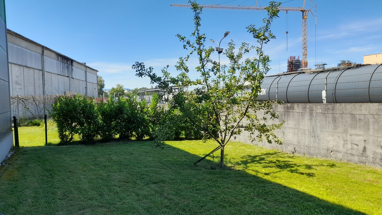 SLB Beiwagen 303 wieder in Salzburg