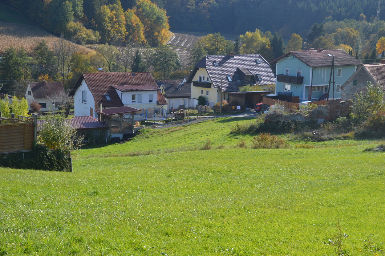 Hangwasser gefährdet Häuser am Hang in Feldbach-Oedt
