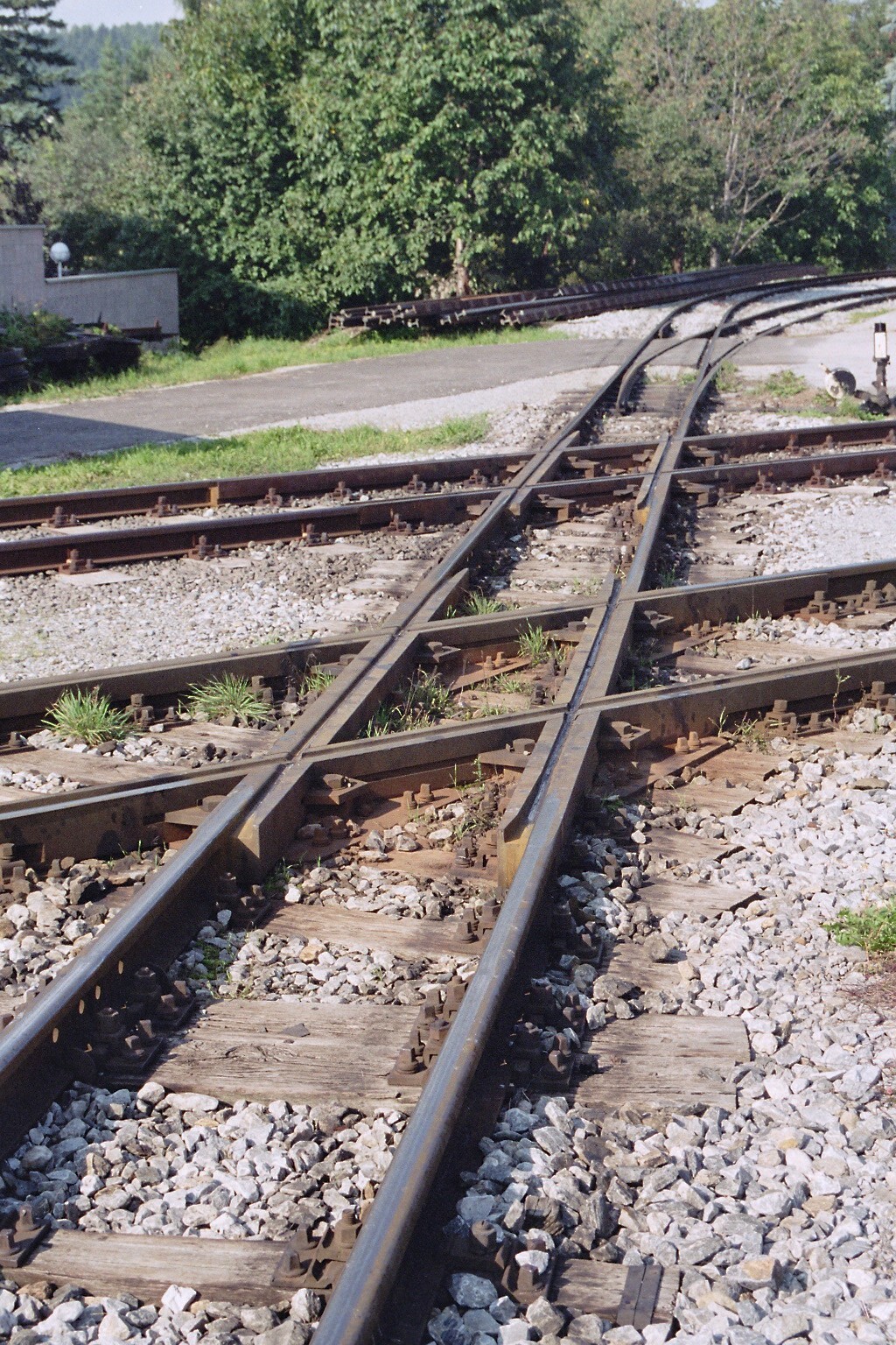 Sonderfahrt auf der Feistritztalbahn