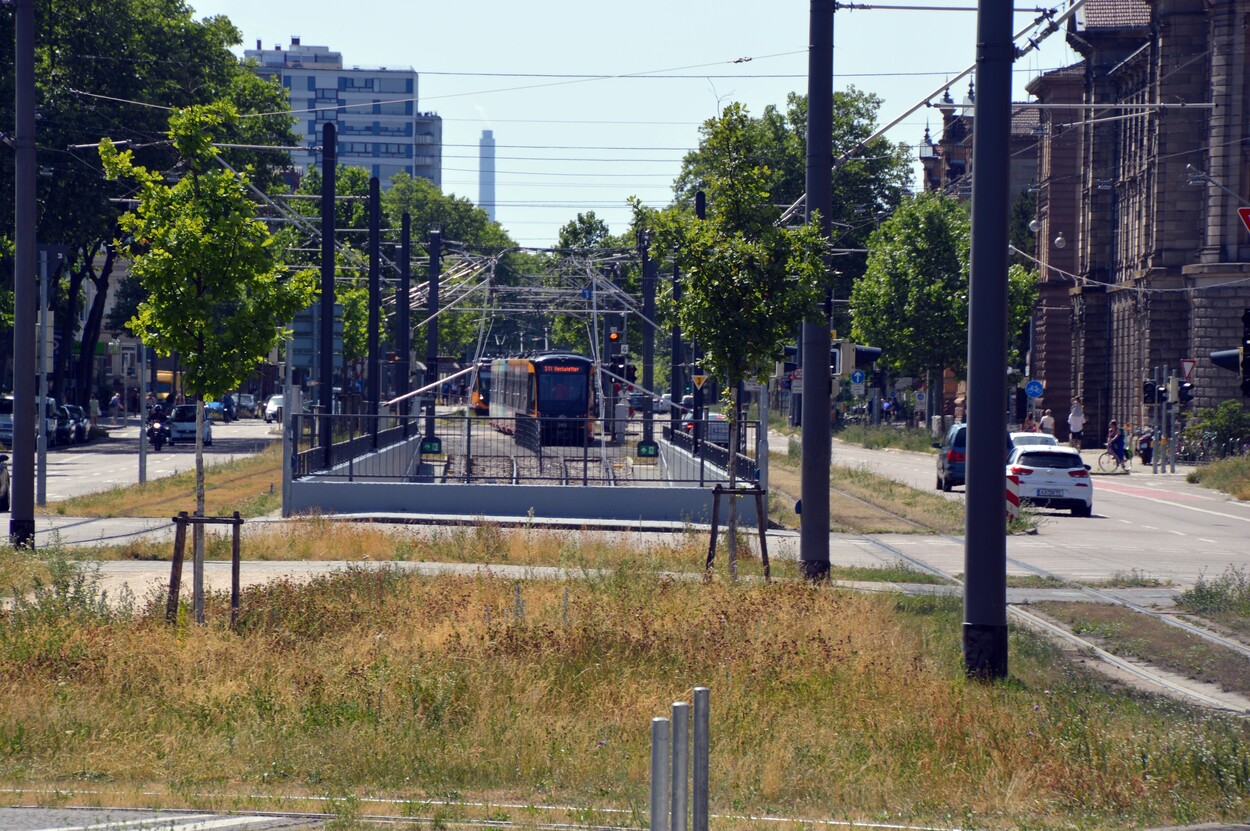 Fototour Karlsruhe Juni 2022