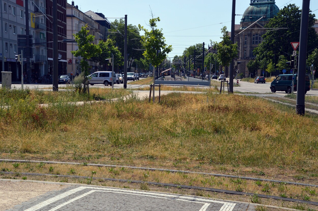 Fototour Karlsruhe Juni 2022