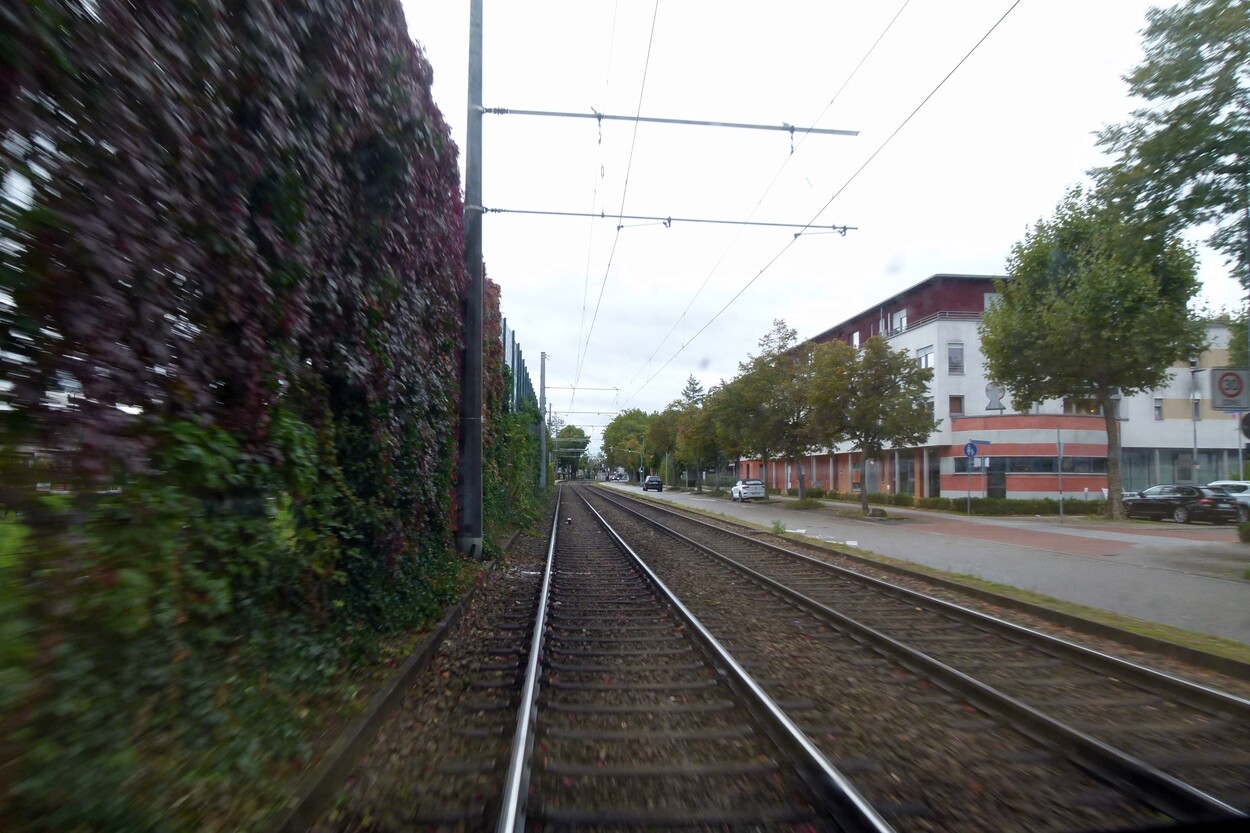 Exkursion Karlsruhe Herbst 2022