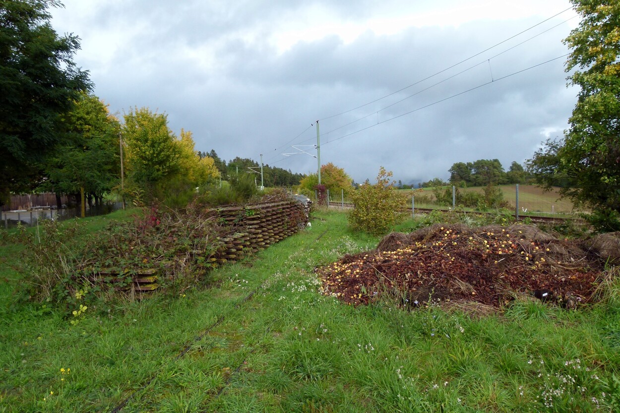 Exkursion Karlsruhe Herbst 2022