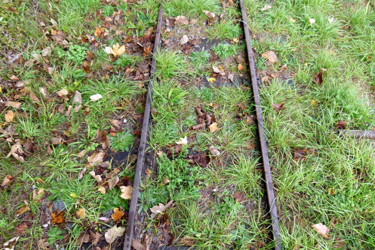 Exkursion Karlsruhe Herbst 2022