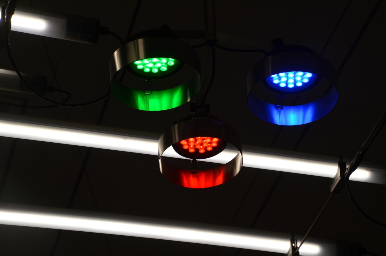 Exkursion Karlsruhe Herbst 2022