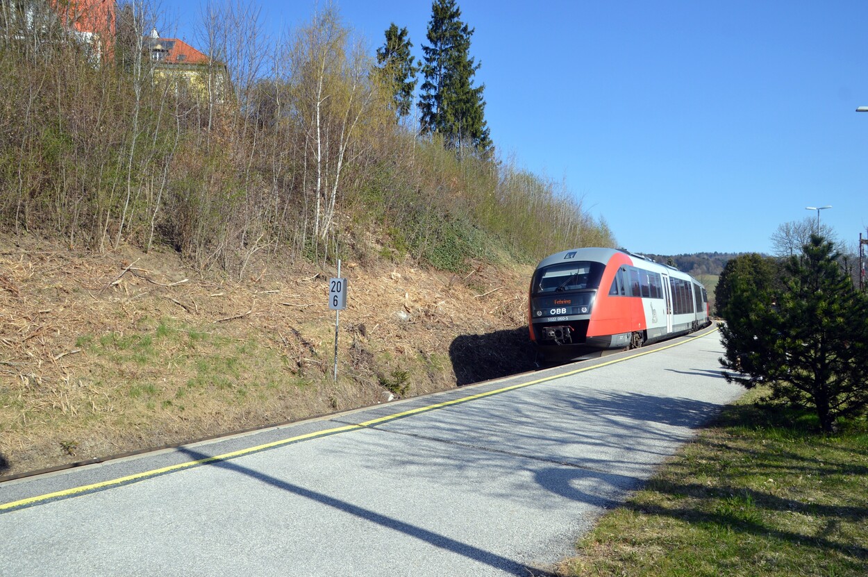 Wechselbahn - Pinggau Markt