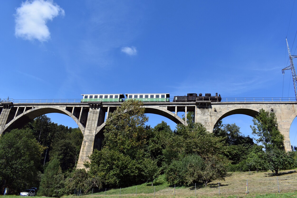 Demonstration - Für den Erhalt der Feistritztalbahn!