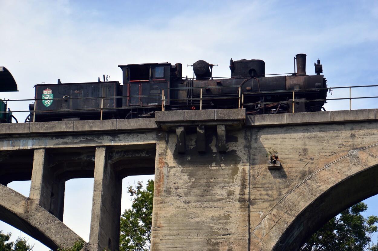 Demonstration - Für den Erhalt der Feistritztalbahn!