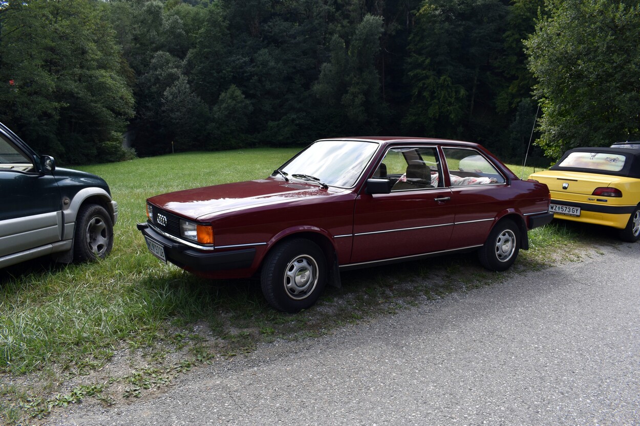 Demonstration - Für den Erhalt der Feistritztalbahn!