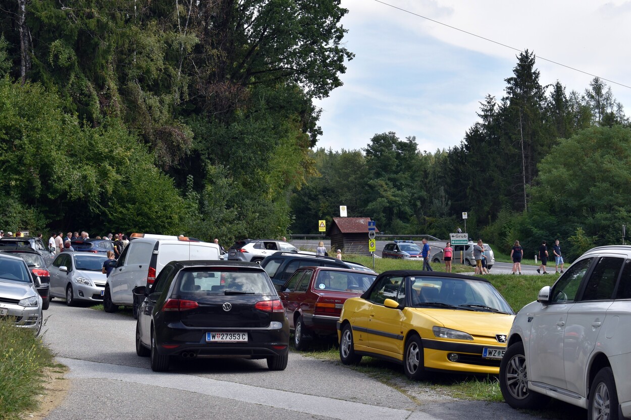 Demonstration - Für den Erhalt der Feistritztalbahn!