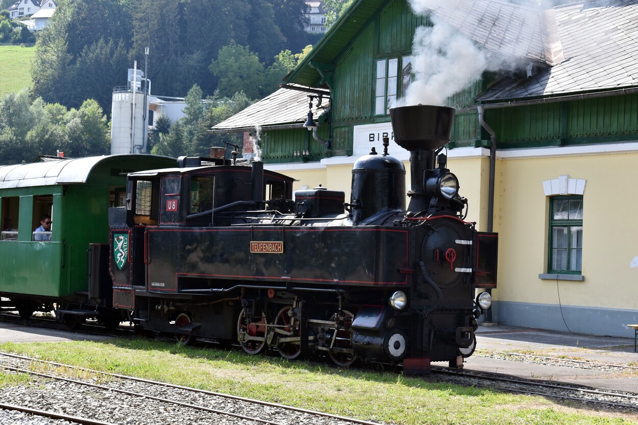 Demonstration - Für den Erhalt der Feistritztalbahn!