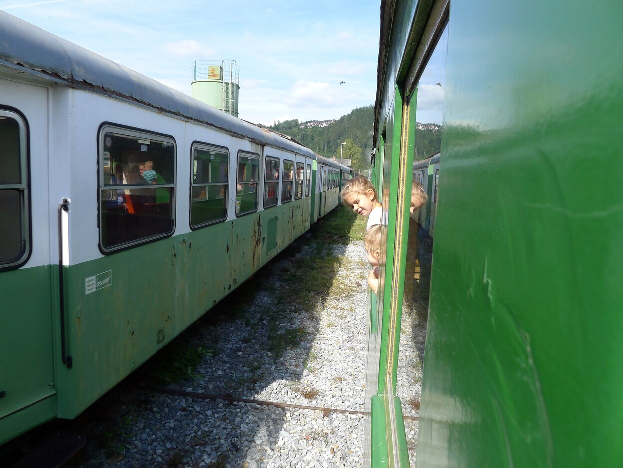 Demonstration - Für den Erhalt der Feistritztalbahn!