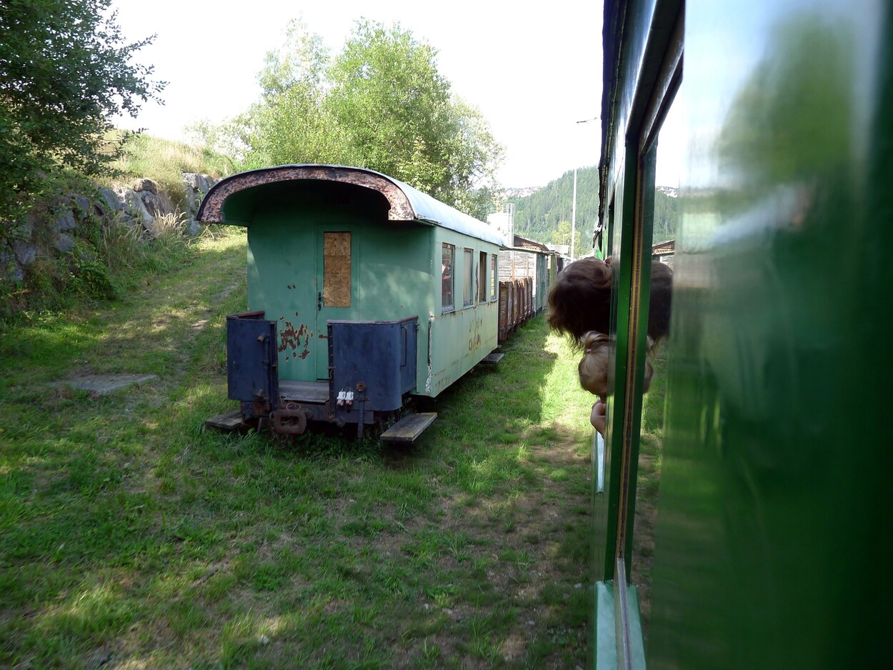 Demonstration - Für den Erhalt der Feistritztalbahn!