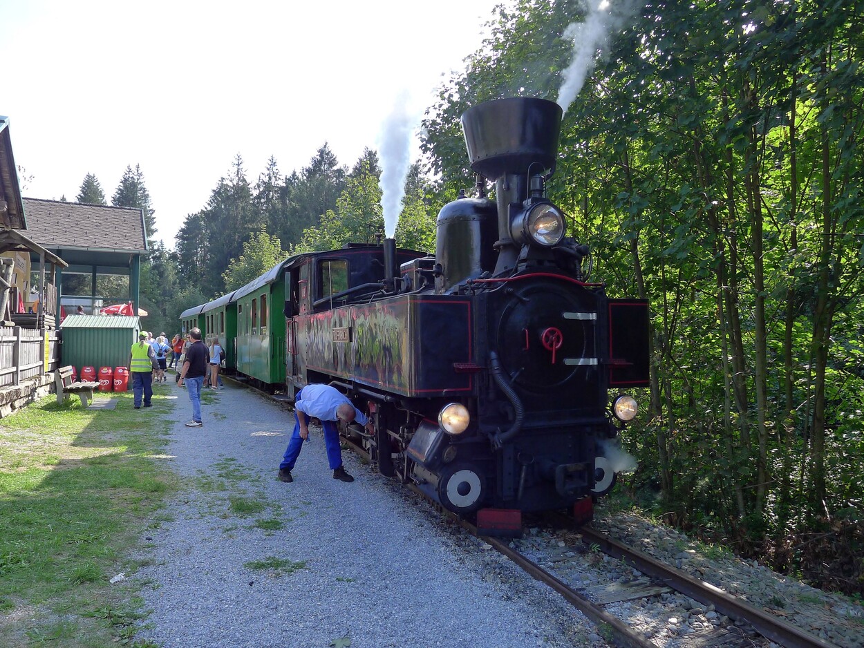 Demonstration - Für den Erhalt der Feistritztalbahn!
