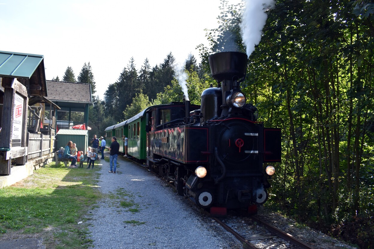 Demonstration - Für den Erhalt der Feistritztalbahn!