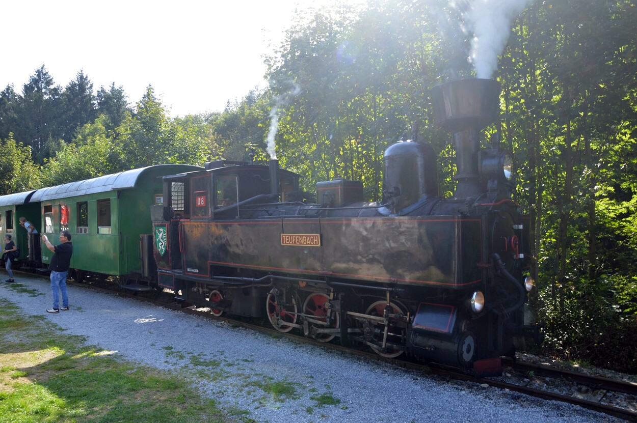 Demonstration - Für den Erhalt der Feistritztalbahn!