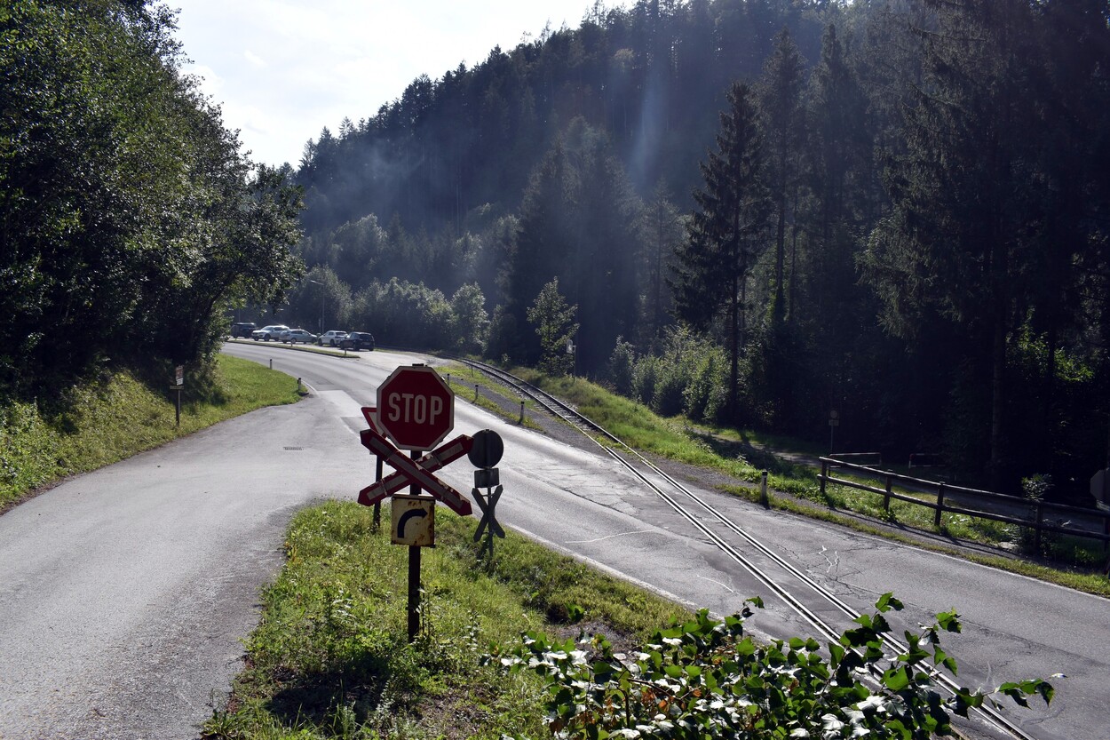 Demonstration - Für den Erhalt der Feistritztalbahn!