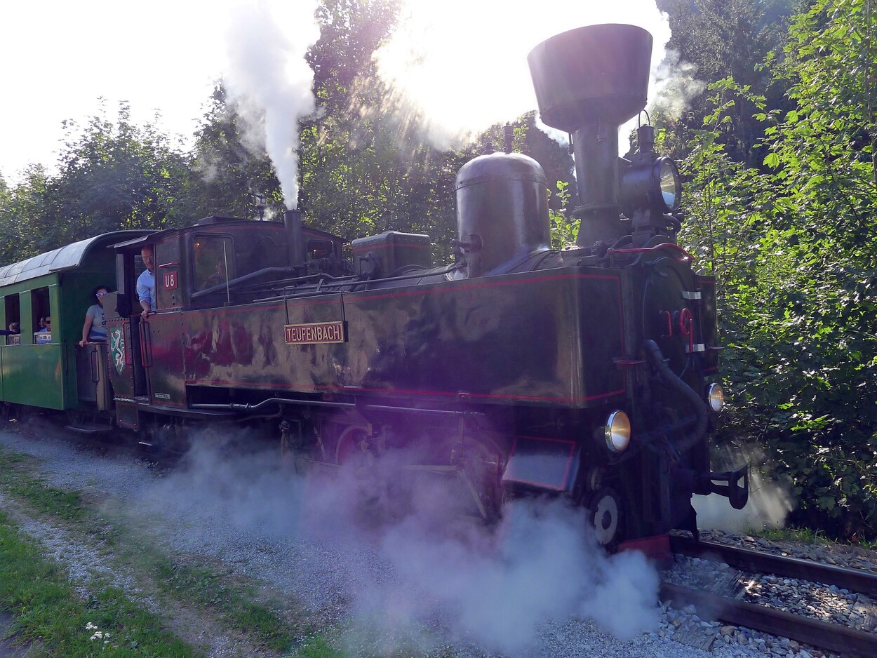 Demonstration - Für den Erhalt der Feistritztalbahn!