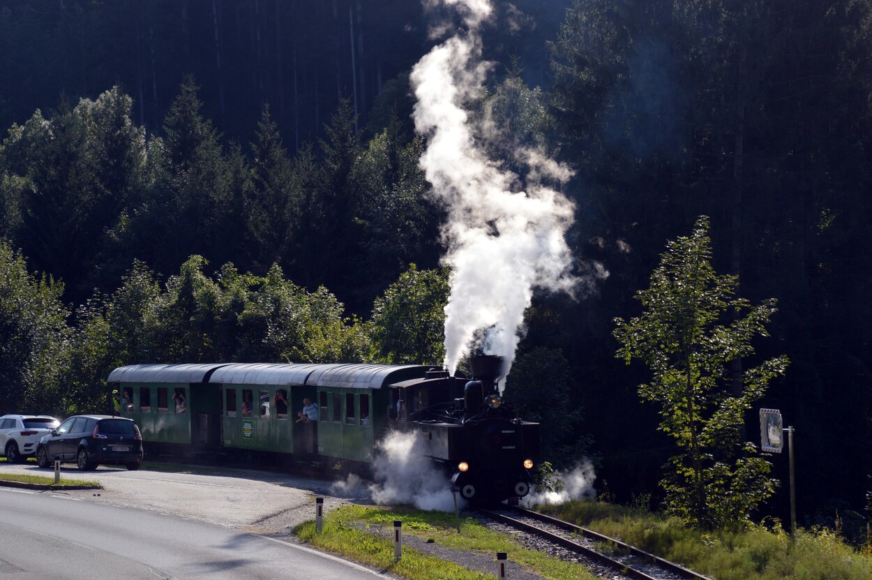 Demonstration - Für den Erhalt der Feistritztalbahn!