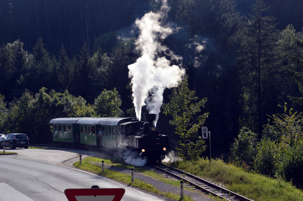 Demonstration - Für den Erhalt der Feistritztalbahn!