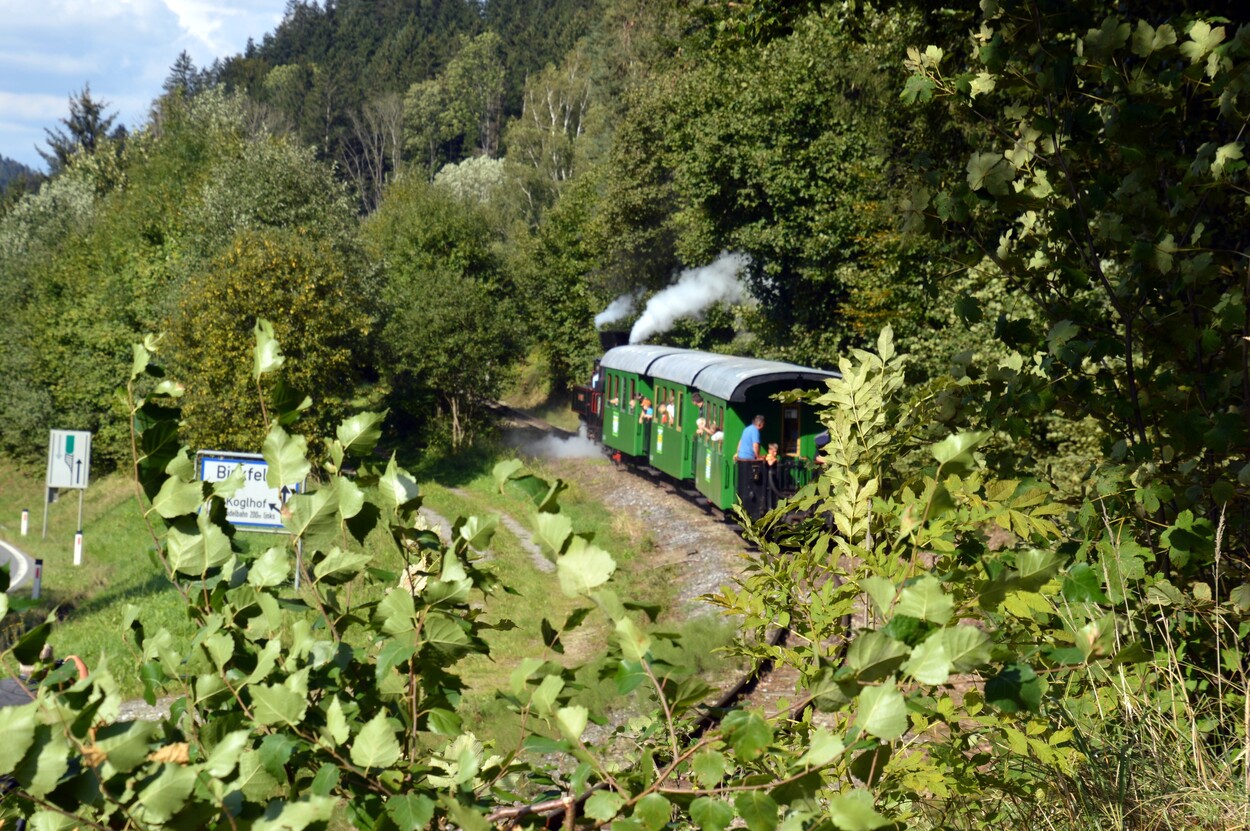 Demonstration - Für den Erhalt der Feistritztalbahn!
