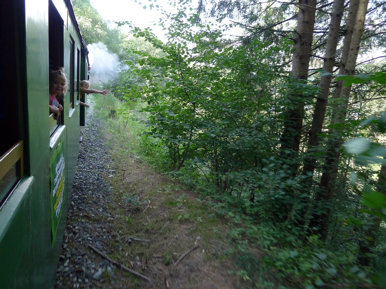 Demonstration - Für den Erhalt der Feistritztalbahn!