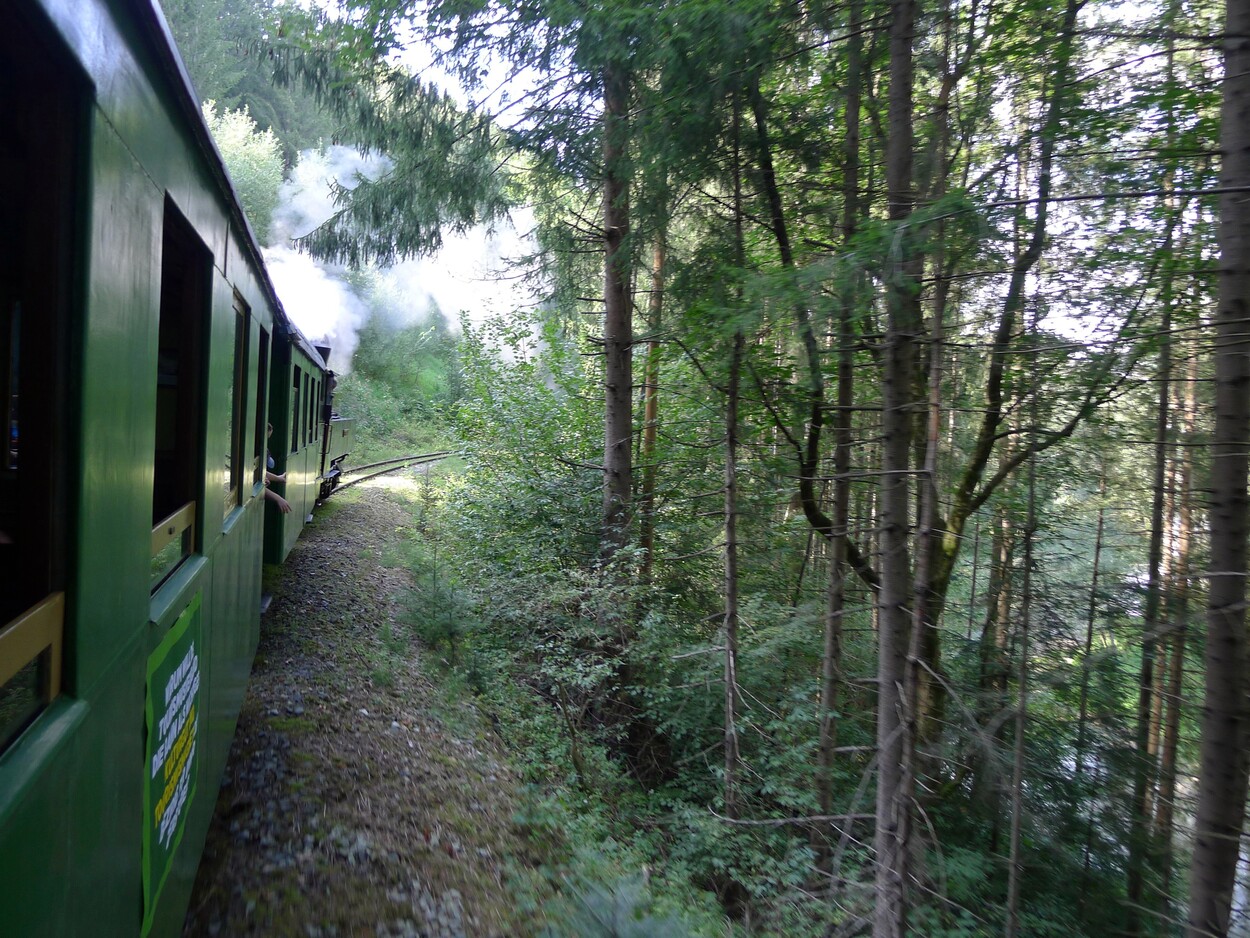 Demonstration - Für den Erhalt der Feistritztalbahn!