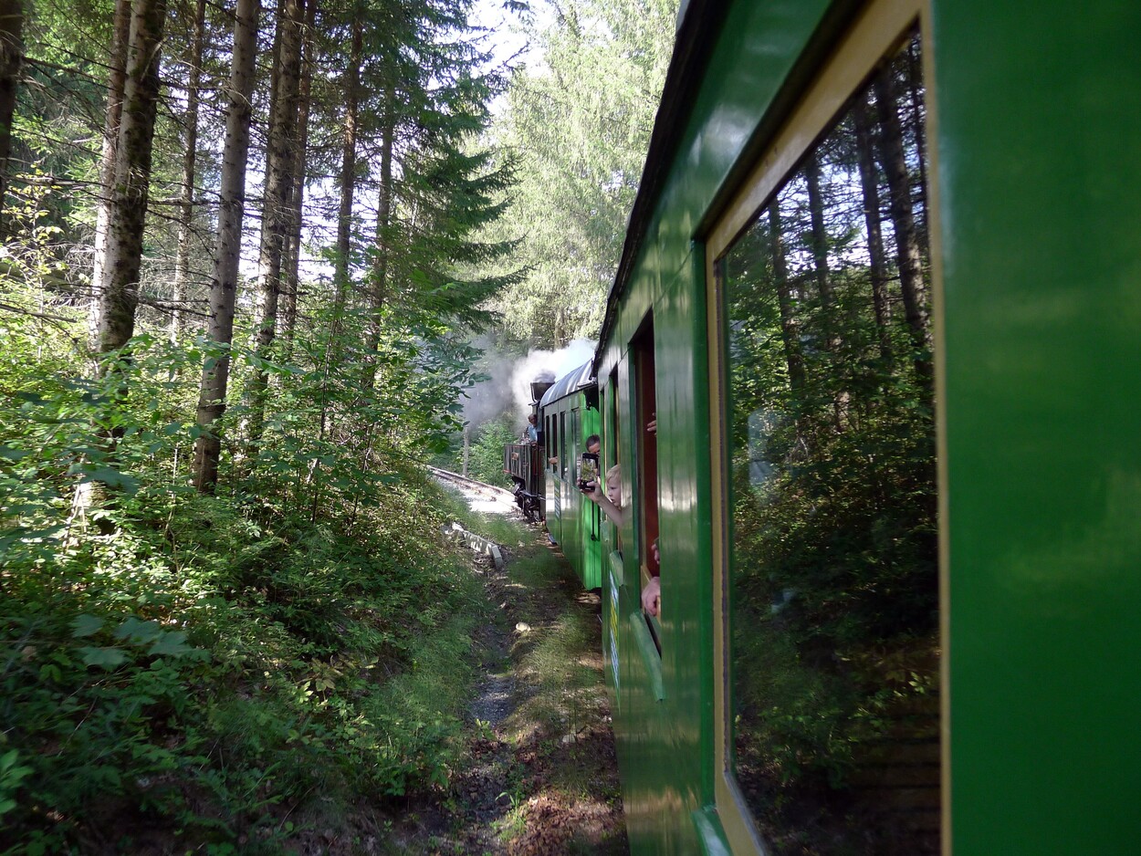 Demonstration - Für den Erhalt der Feistritztalbahn!