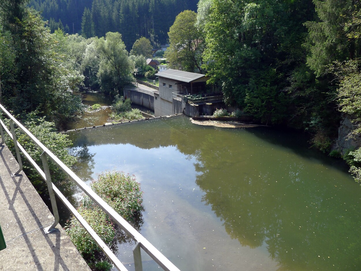 Demonstration - Für den Erhalt der Feistritztalbahn!