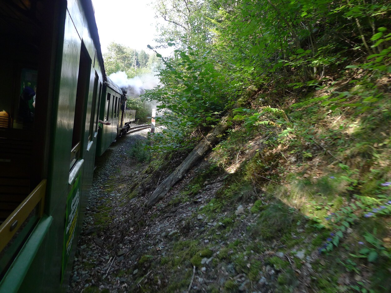 Demonstration - Für den Erhalt der Feistritztalbahn!