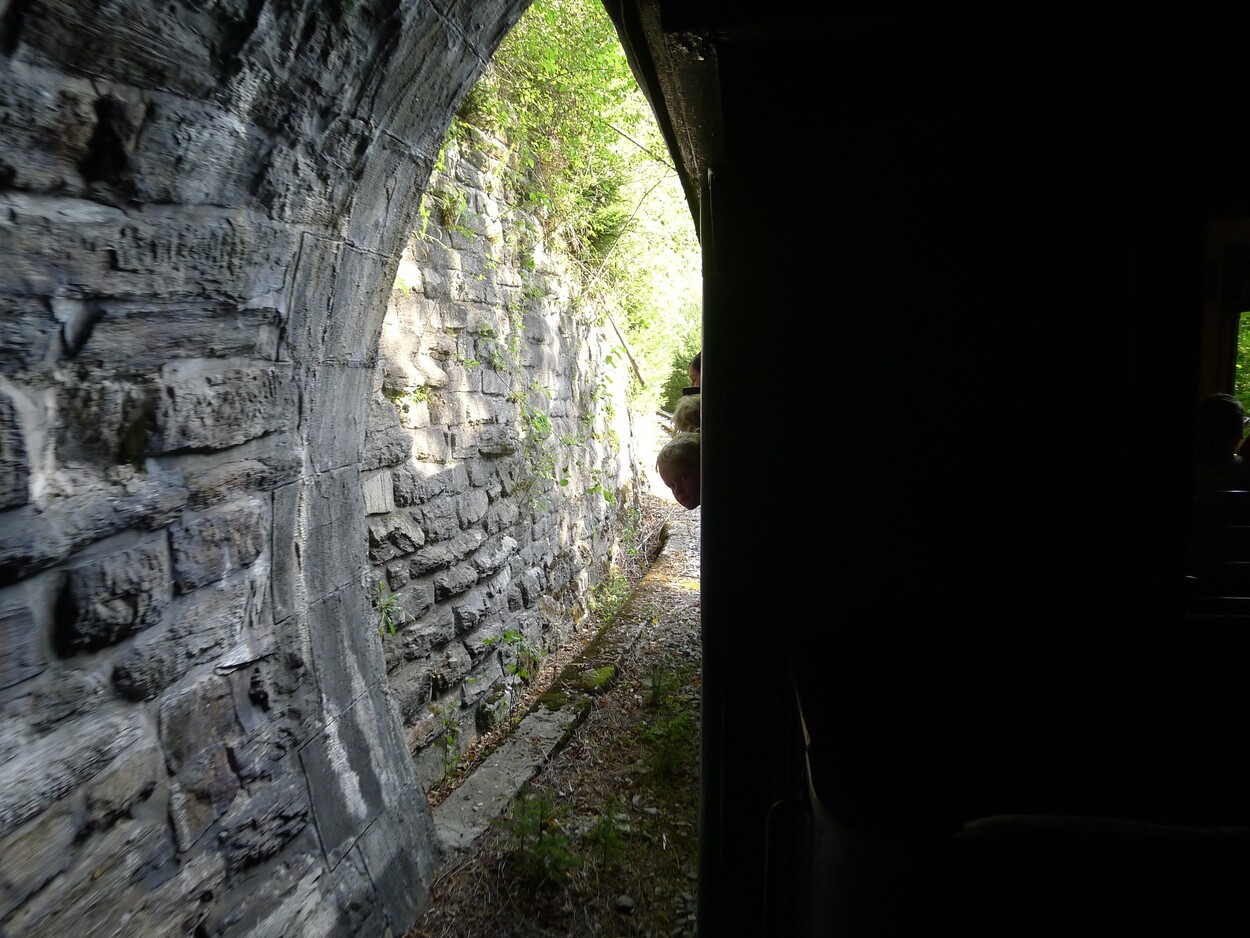 Demonstration - Für den Erhalt der Feistritztalbahn!