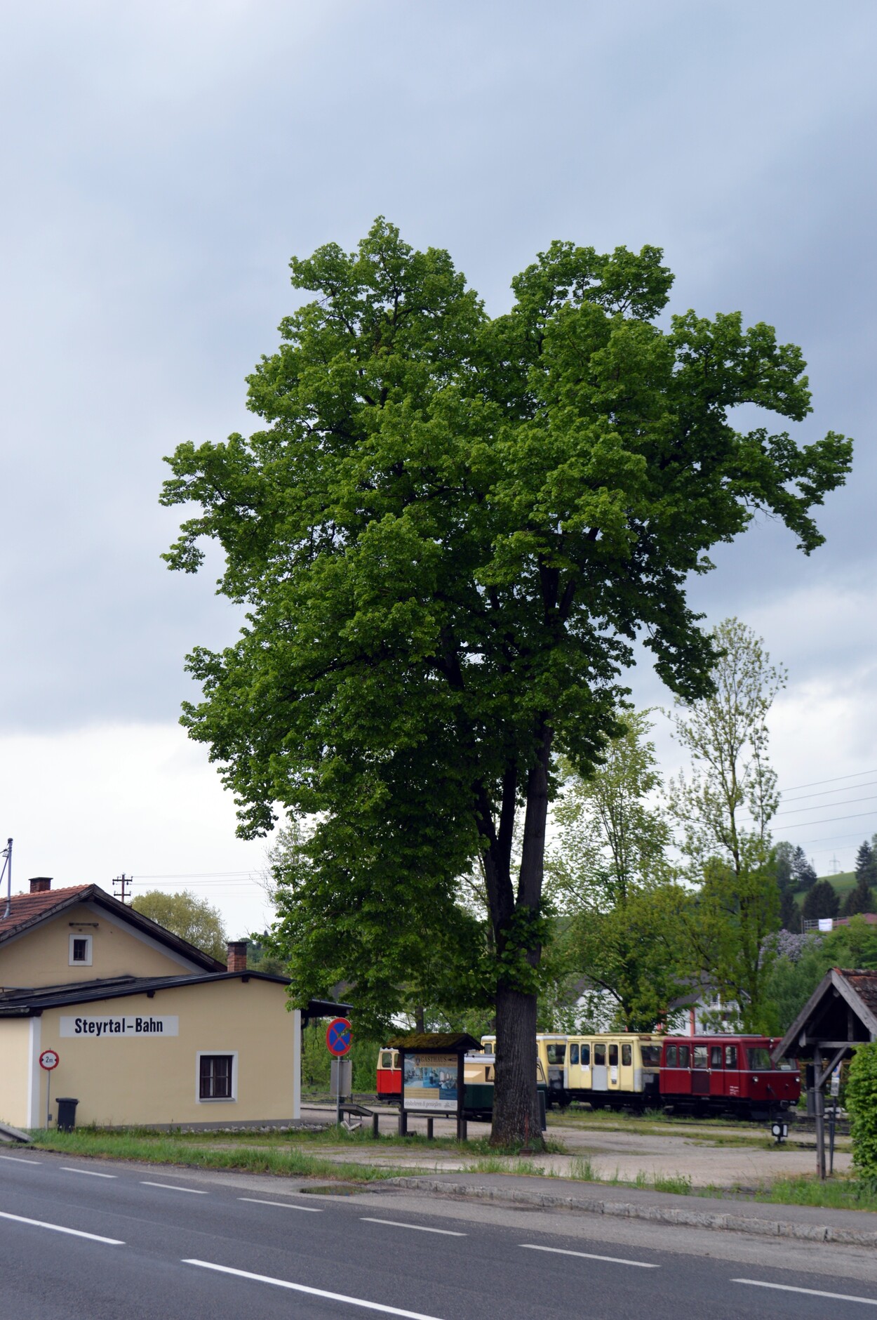 Museumsbahn Steyrtalbahn