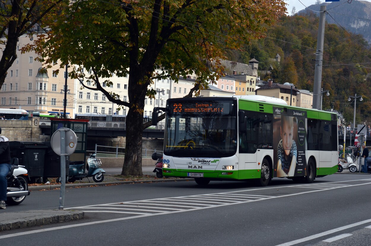 Linienverkehr in Salzburg - Albus
