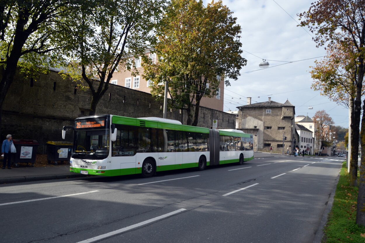 Linienverkehr in Salzburg - Albus