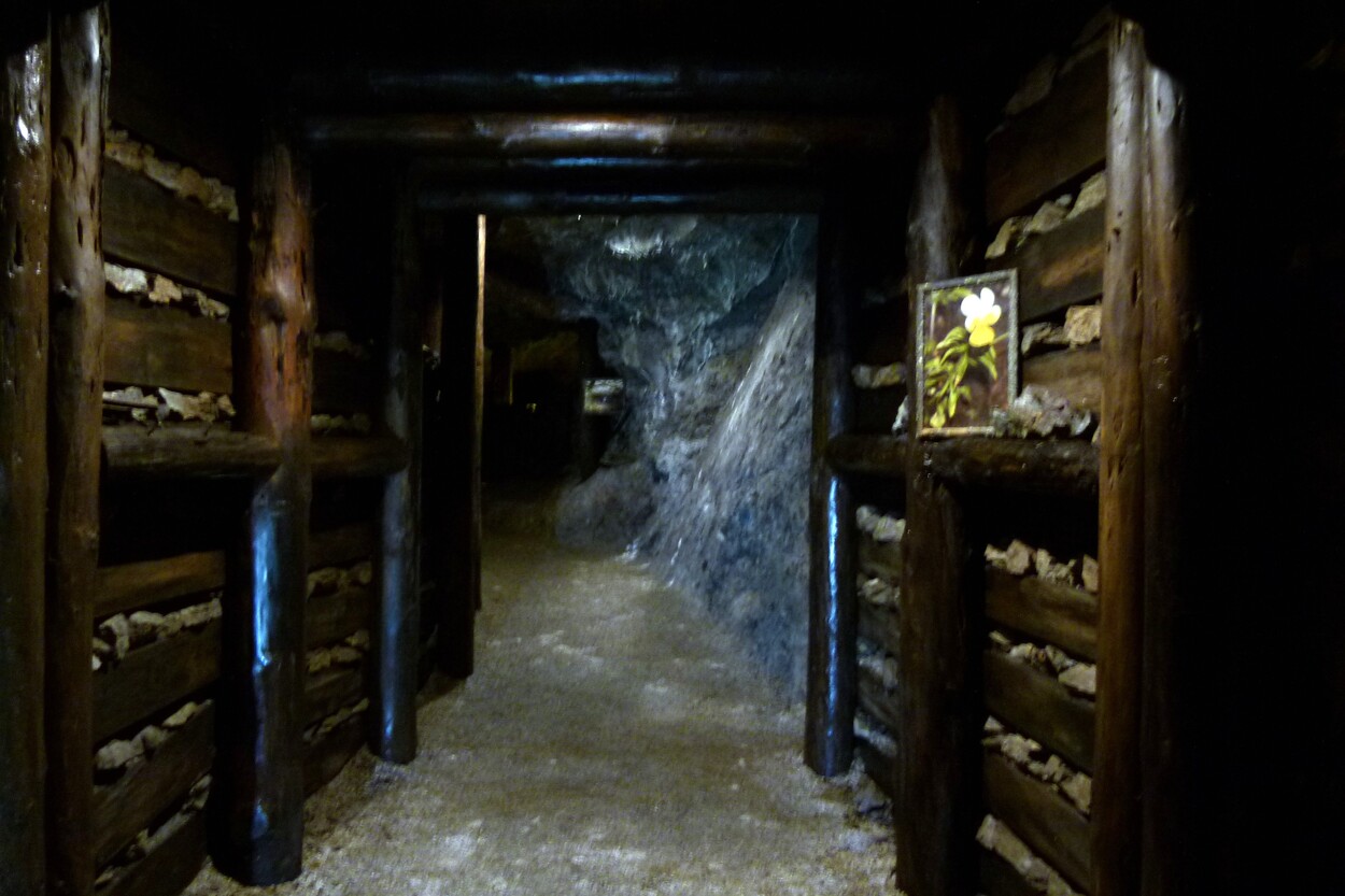 Kupfer-Schaubergwerk Radmer