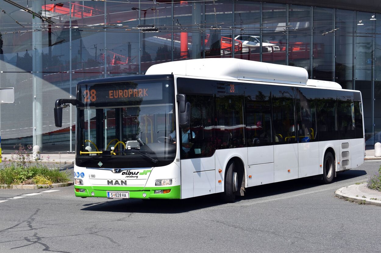 Bus Linie 28 Albus am Europark
