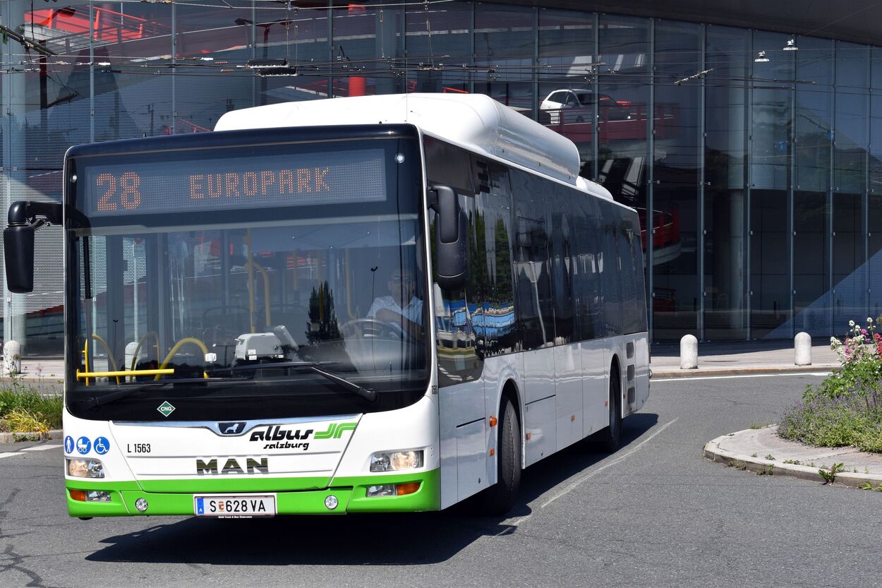 Bus Linie 28 Albus am Europark