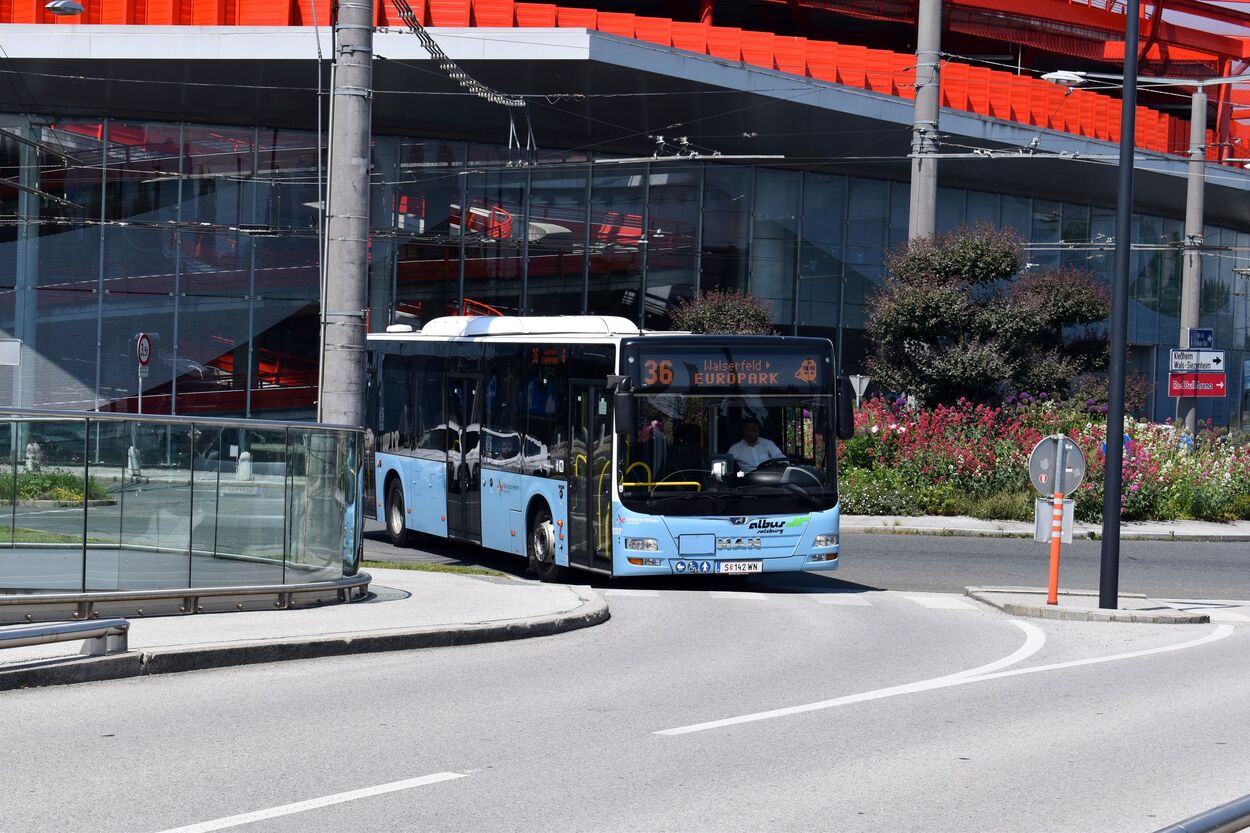 Bus Linie 36 Albus am Europark