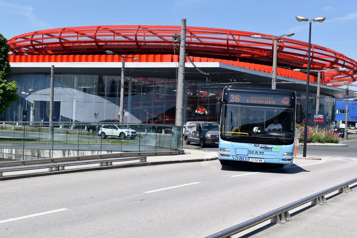 Bus Linie 36 Albus am Europark