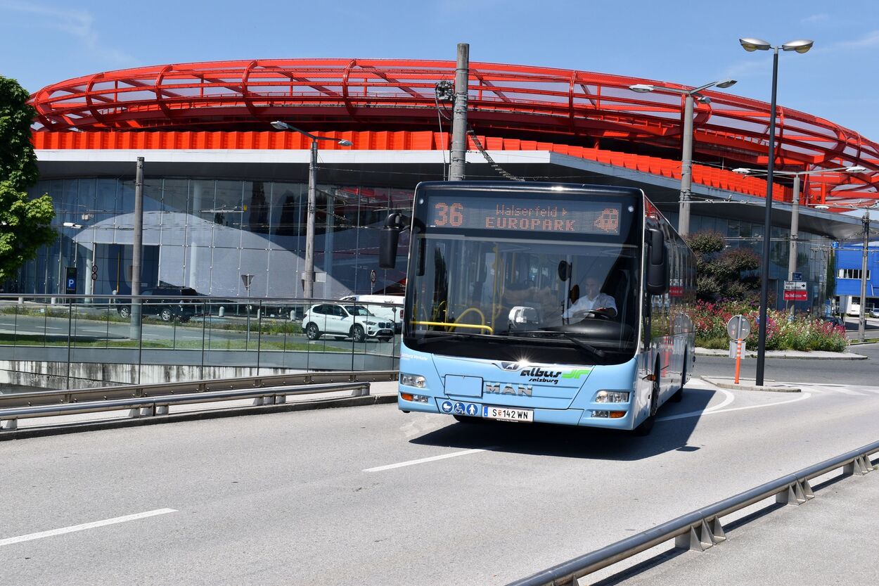 Bus Linie 36 Albus am Europark