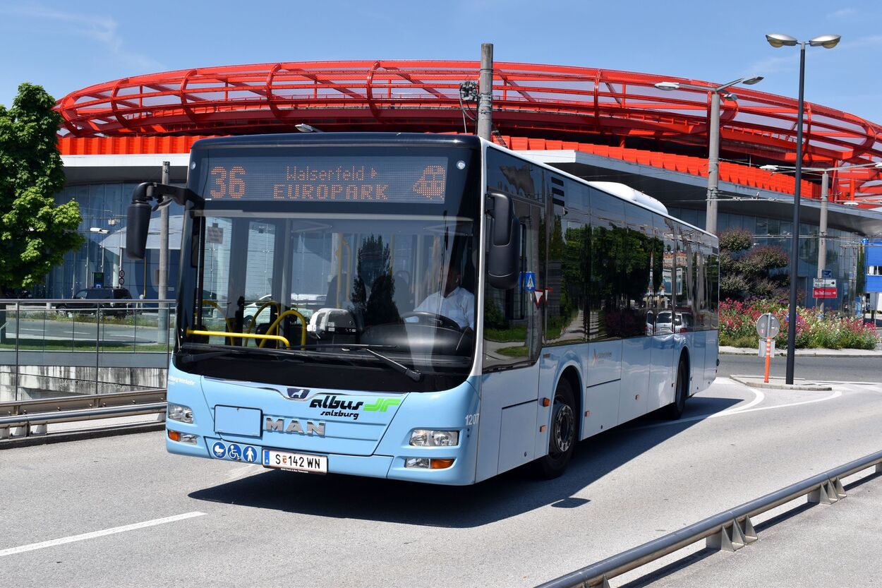 Bus Linie 36 Albus am Europark