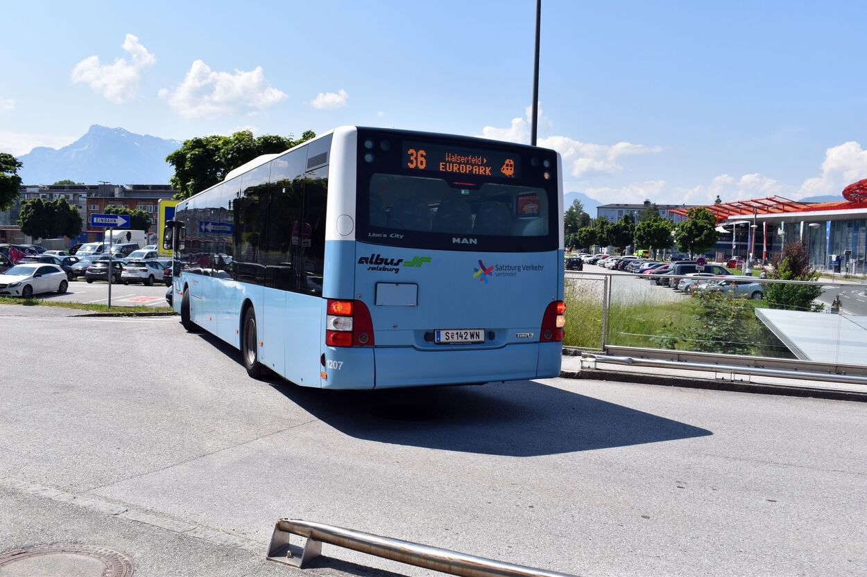 Bus Linie 36 Albus am Europark