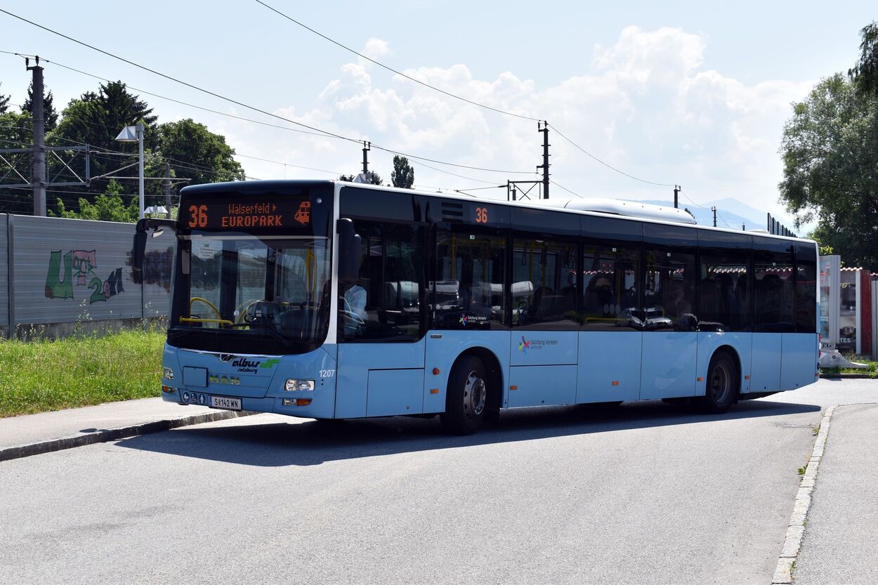 Bus Linie 36 Albus am Europark