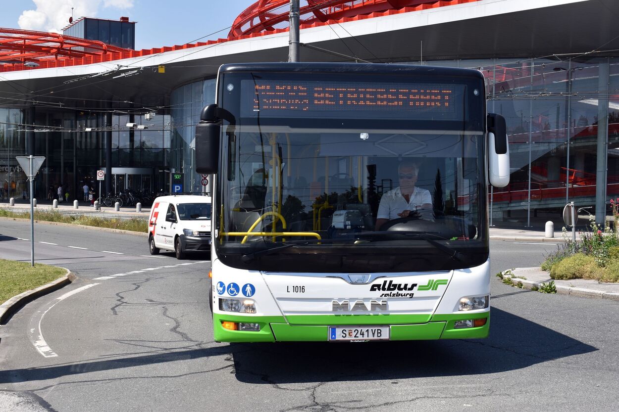 Bus Albus am Europark