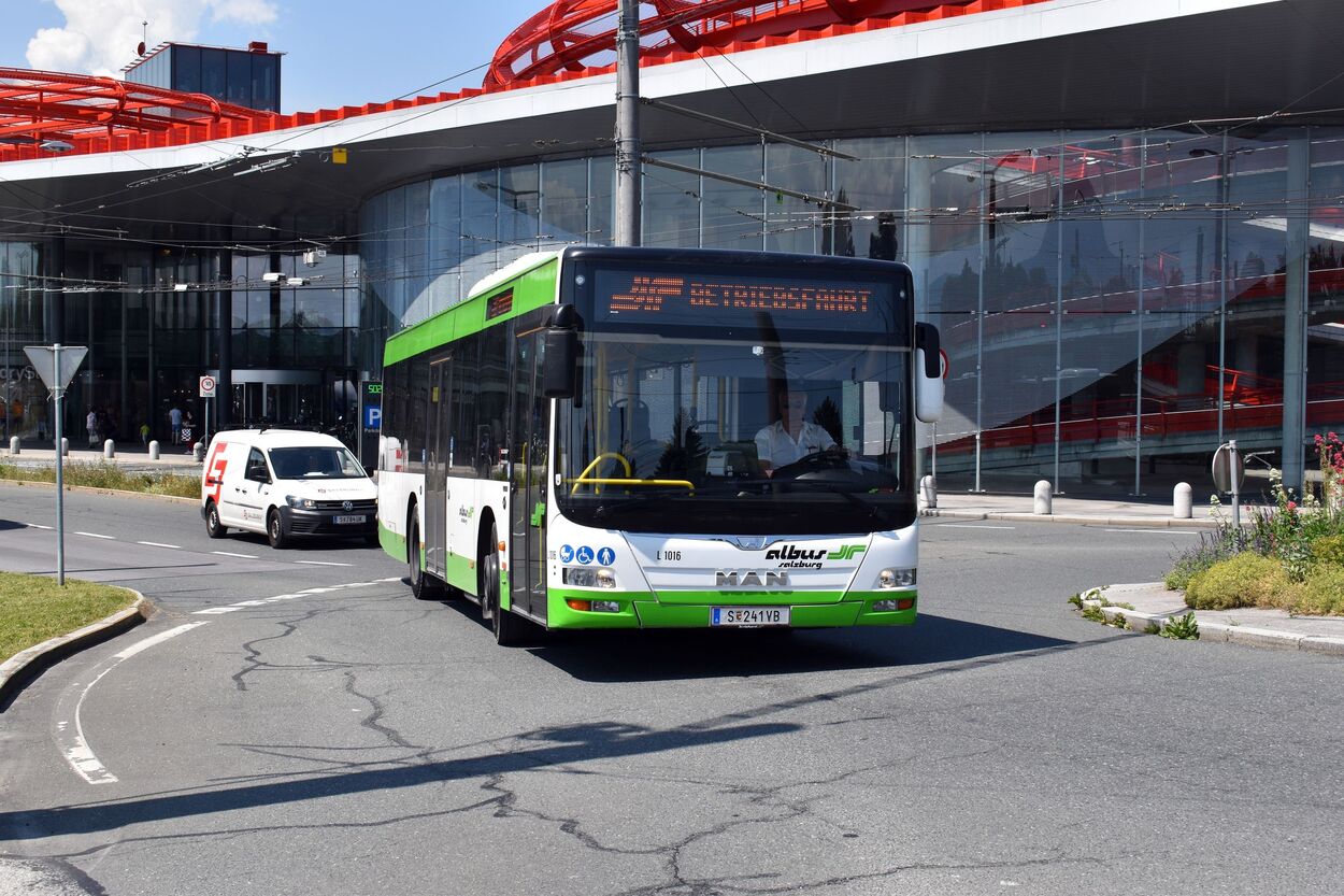 Bus Albus am Europark