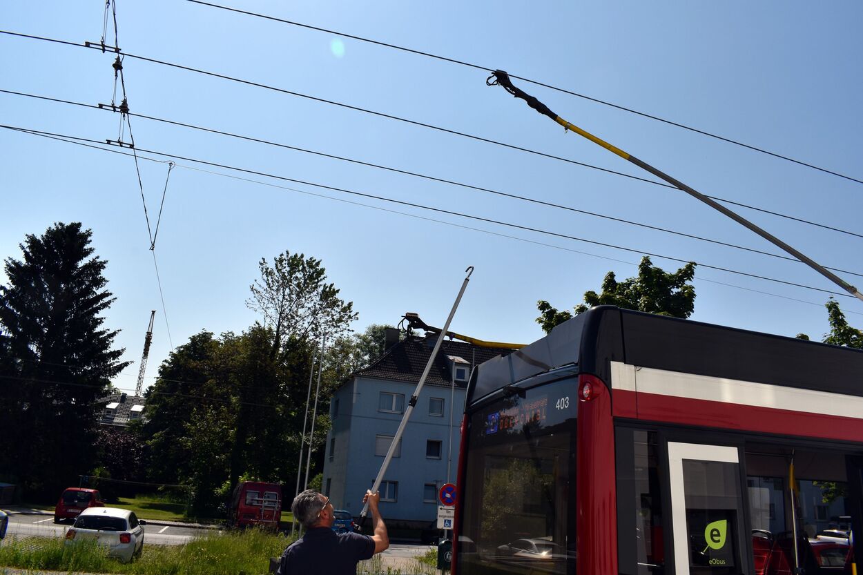 Haltestelle Wals Walserfeld Schule