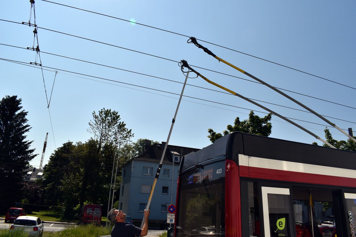 Haltestelle Wals Walserfeld Schule