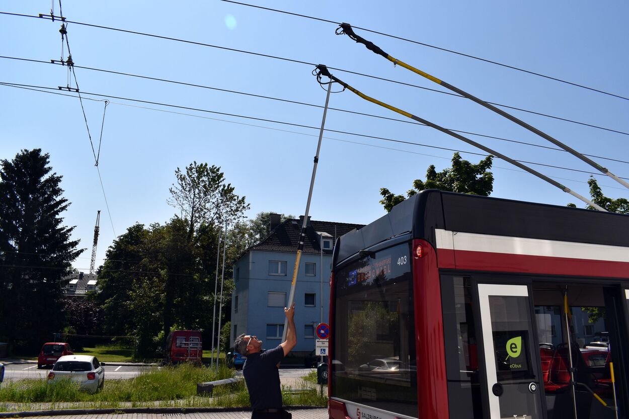 Haltestelle Wals Walserfeld Schule