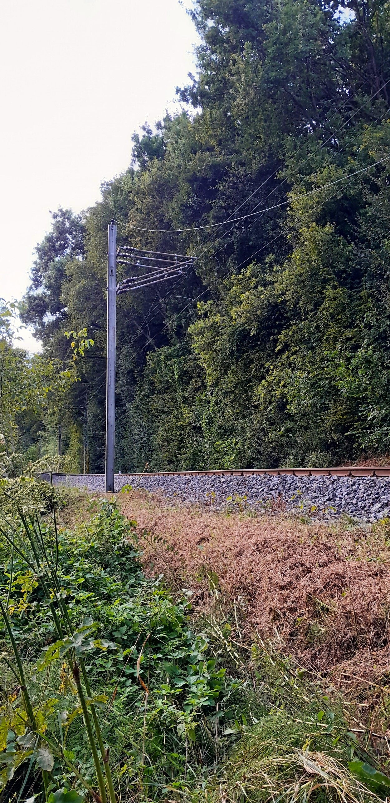 Unwetter Schäden Gleichenbergerbahn
