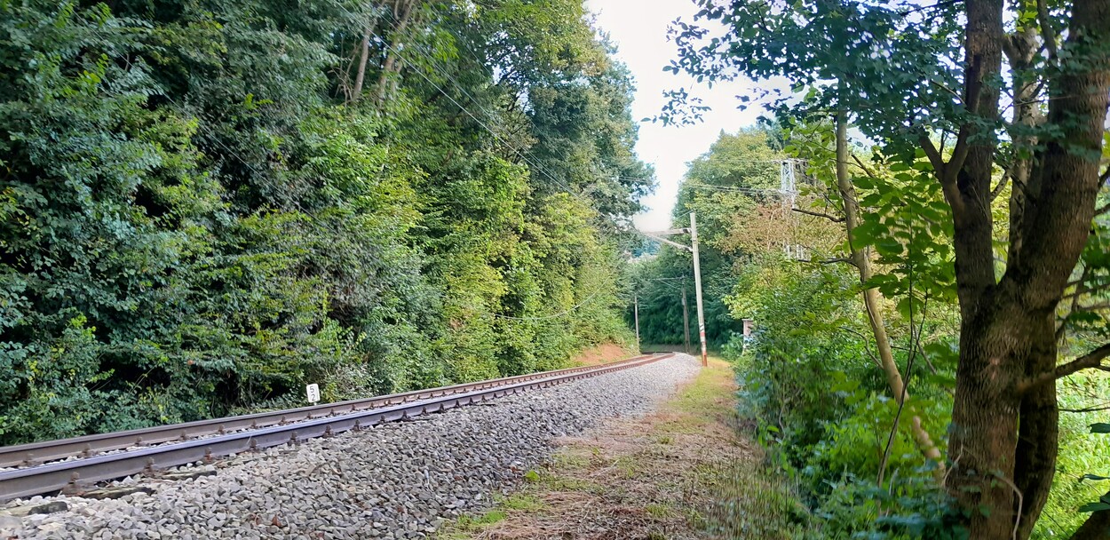 Unwetter Schäden Gleichenbergerbahn